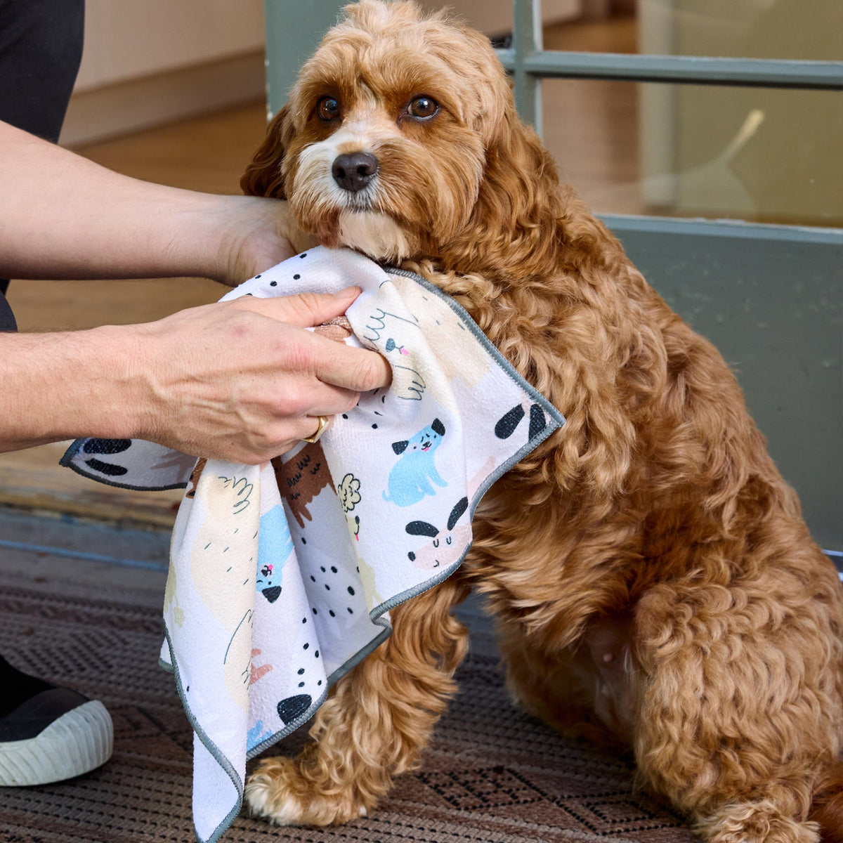 Pooches & Pups Pet Paw Towels