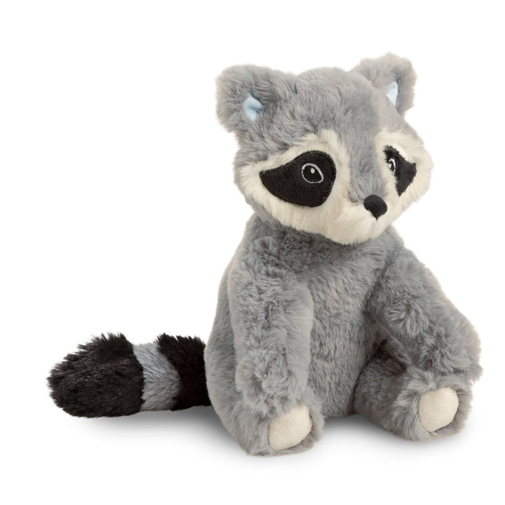 Raccoon Plush: A Companion To The Book "Chasing Dream?"