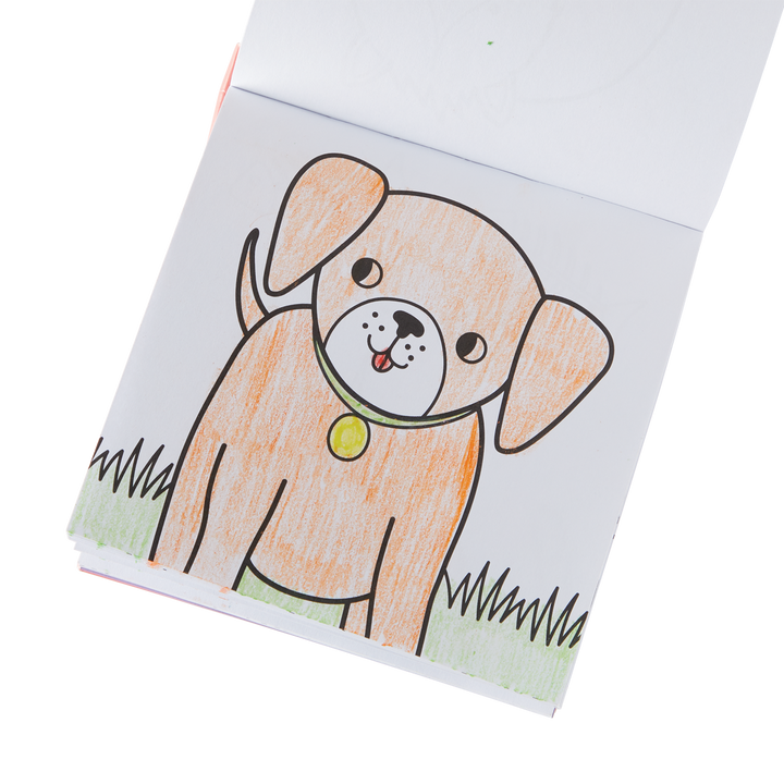 Carry Along Coloring Book Set - Pet Pals