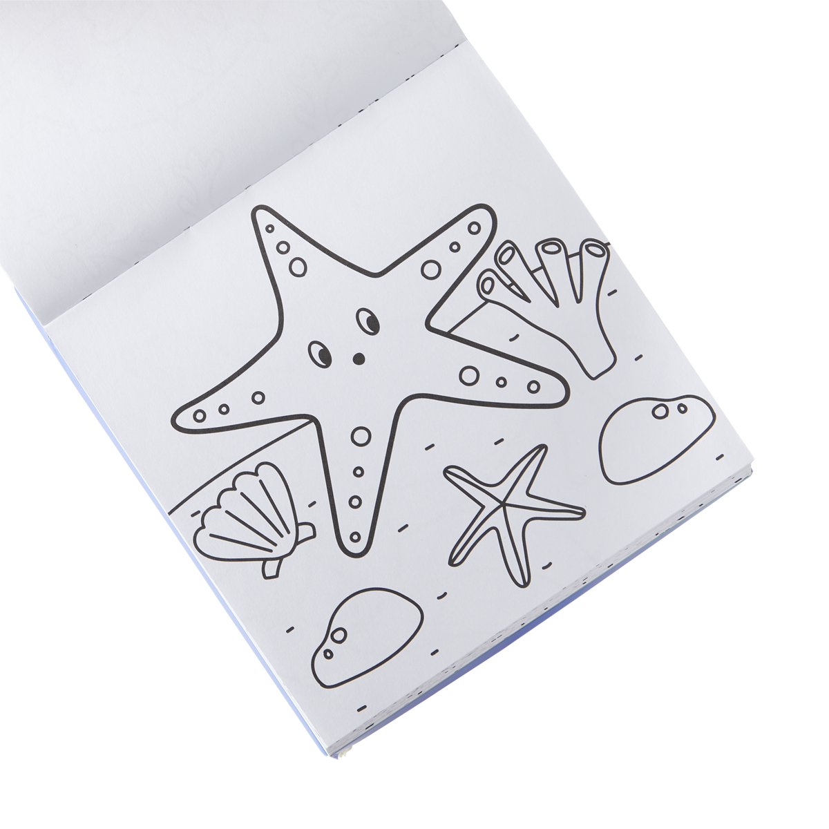Carry Along Coloring Book Set - Sea Life - Just Fabulous Palm Springs