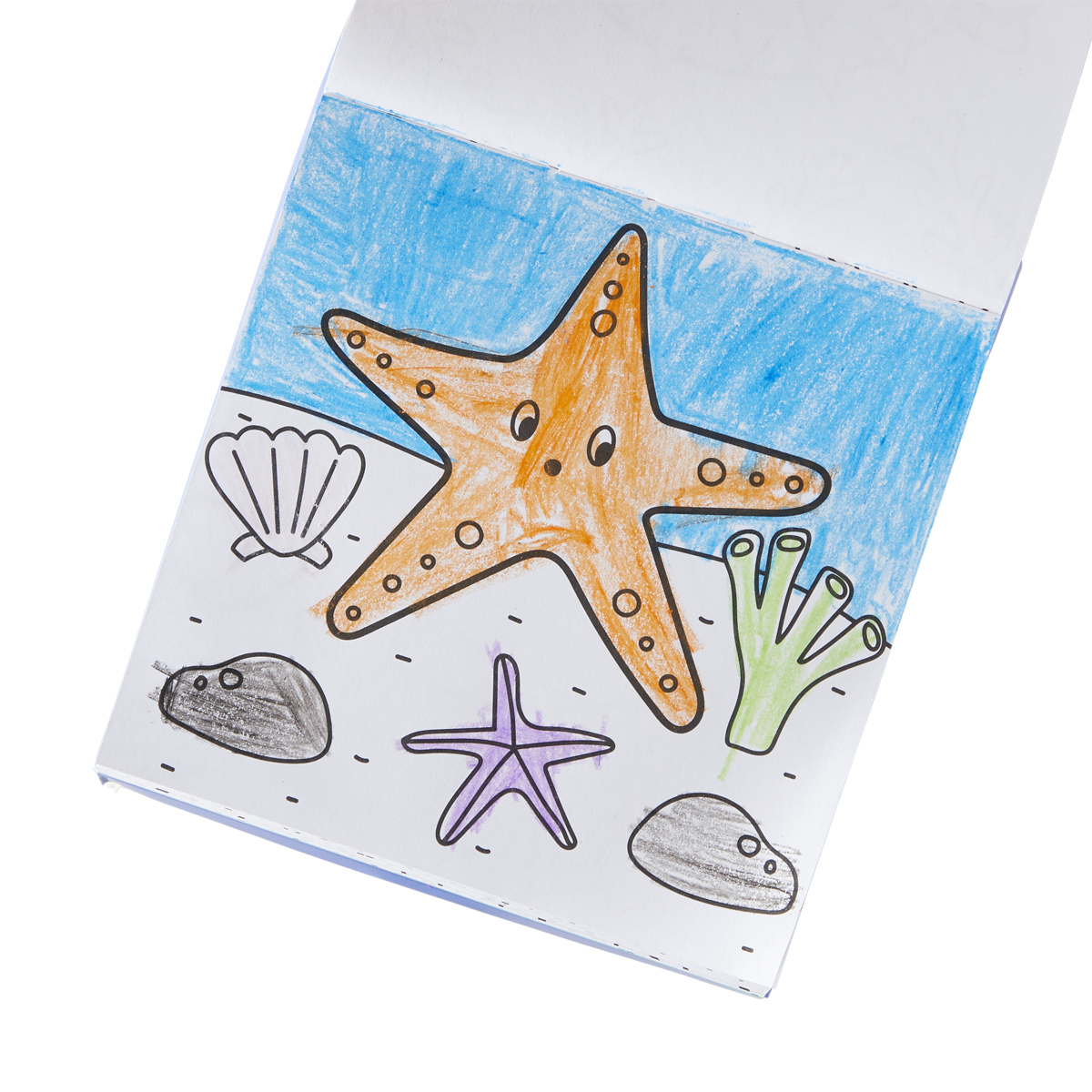 Carry Along Coloring Book Set - Sea Life - Just Fabulous Palm Springs