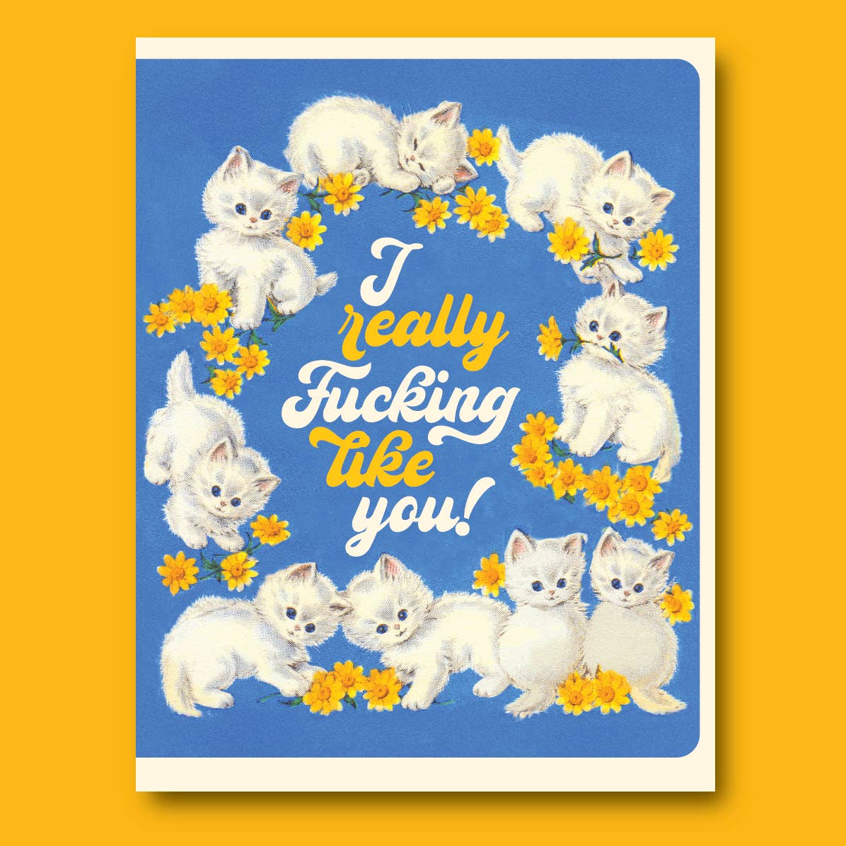 Really Like Kittens Greeting Card - Just Fabulous Palm Springs