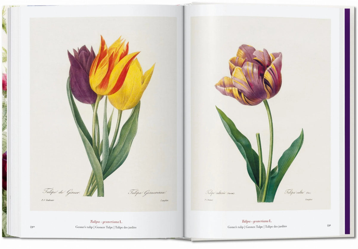 45th Anniversary: Redouté - The Book of Flowers - Just Fabulous Palm Springs