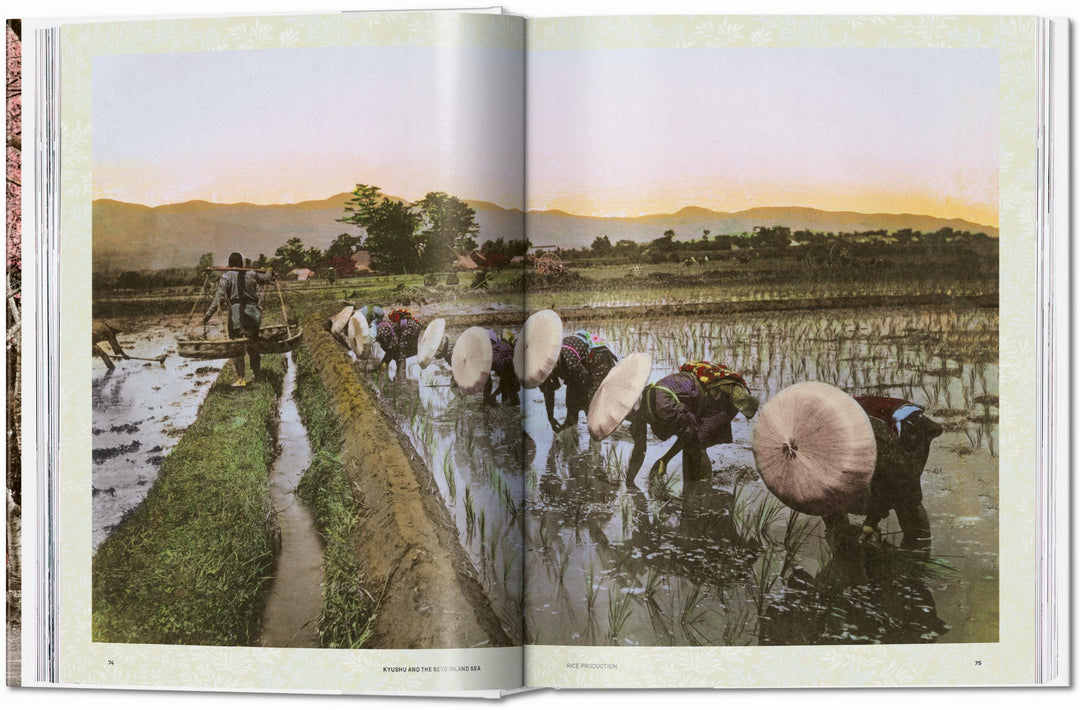 Japan 1900 XXL