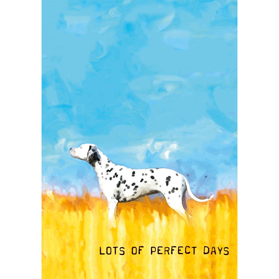 Lot's Of Perfect Days Birthday Card