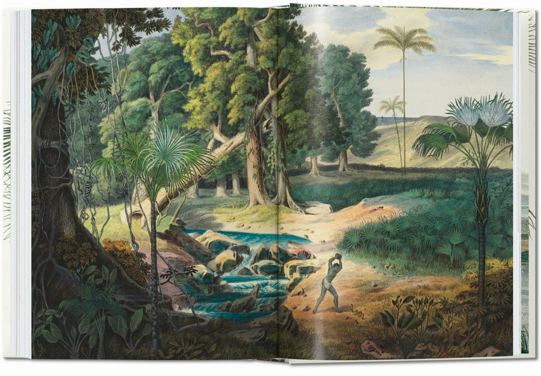 45th Anniversary: The Book Of Palms