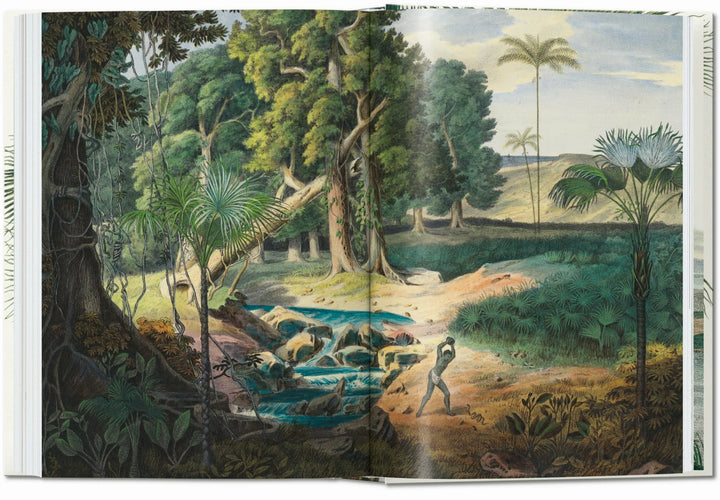 45th Anniversary: The Book Of Palms