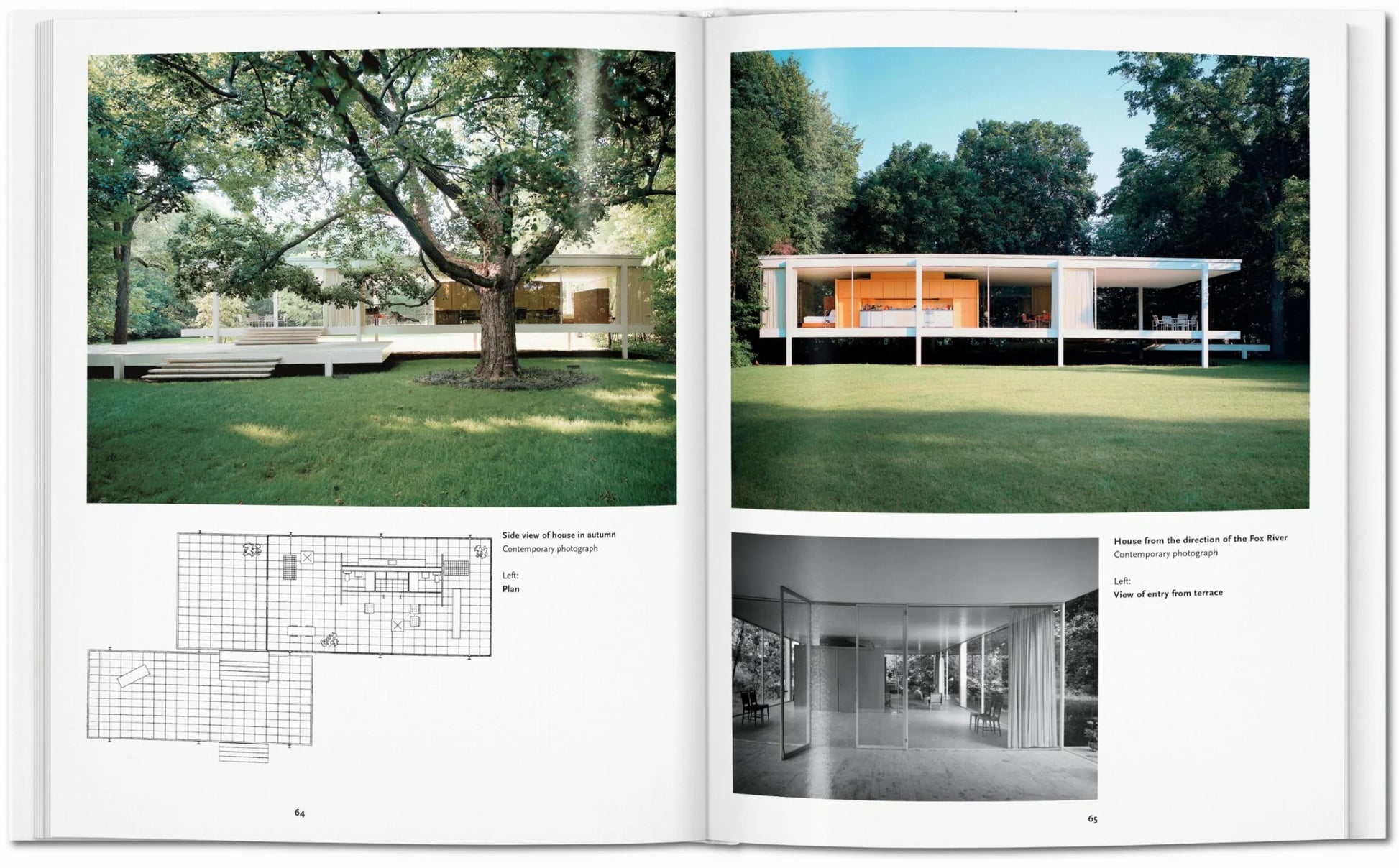Basic: Mies van der Rhoe - Just Fabulous Palm Springs