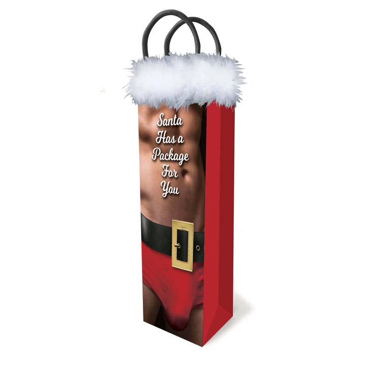 Santa Has A Package For You Gift Bag