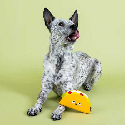 Whatchu Taco Bout Latex Dog Toy