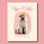 Cool Poodle Greeting Card