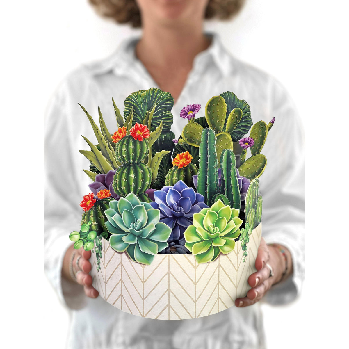 Cactus Garden Pop Up Card