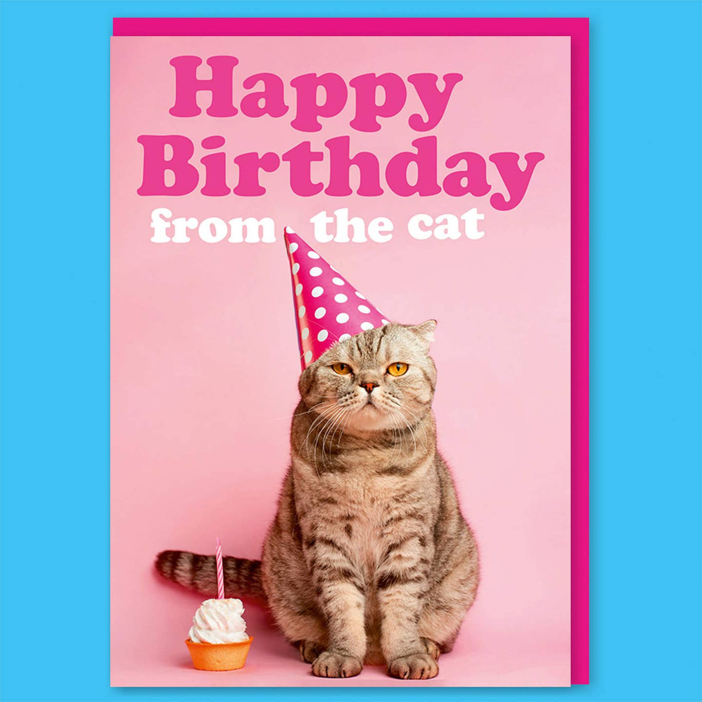 From The Cat Birthday Card