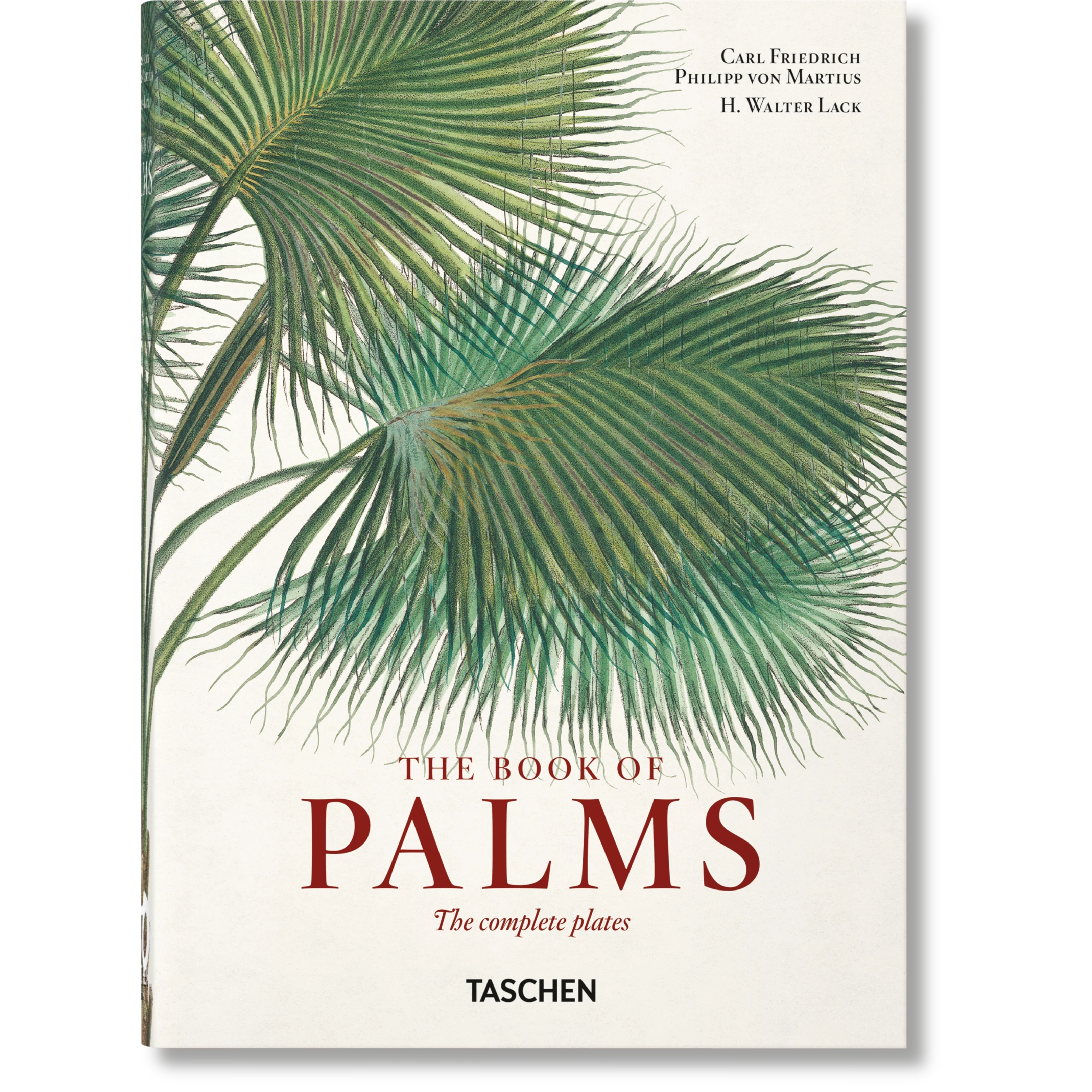 45th Anniversary: The Book Of Palms - Just Fabulous Palm Springs