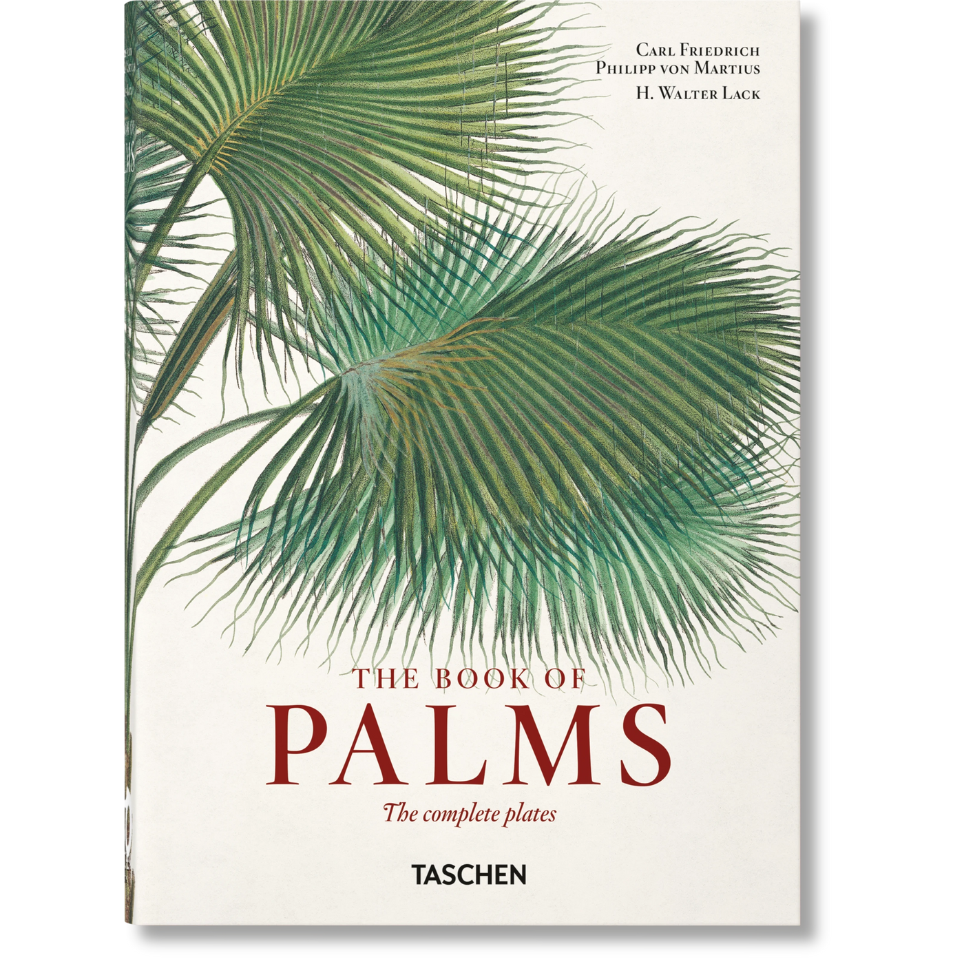 40th Anniversary: The Book Of Palms