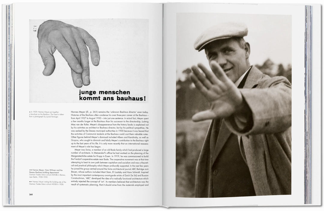 Bauhaus Updated Edition