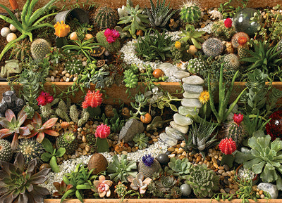 Succulent Garden Jigsaw Puzzle - 1000 Piece