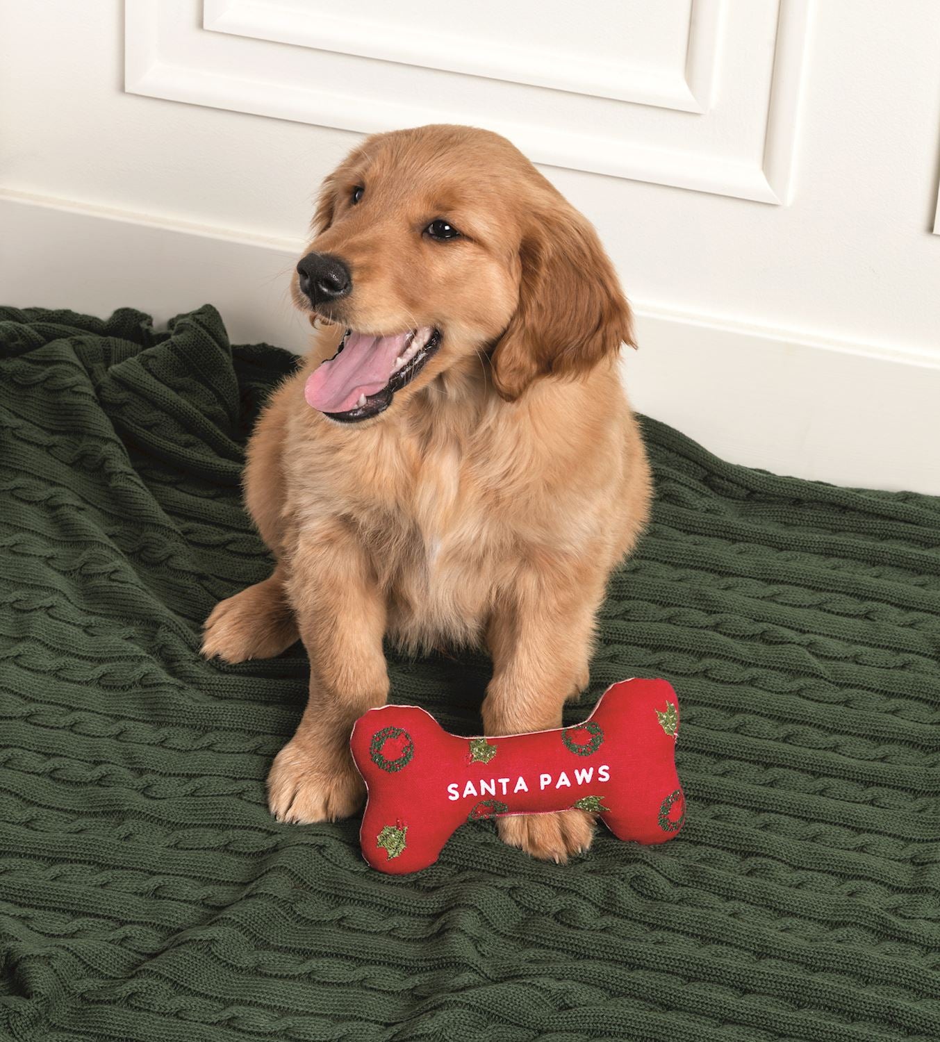 Embroidered Dog Bone - Santa Paws