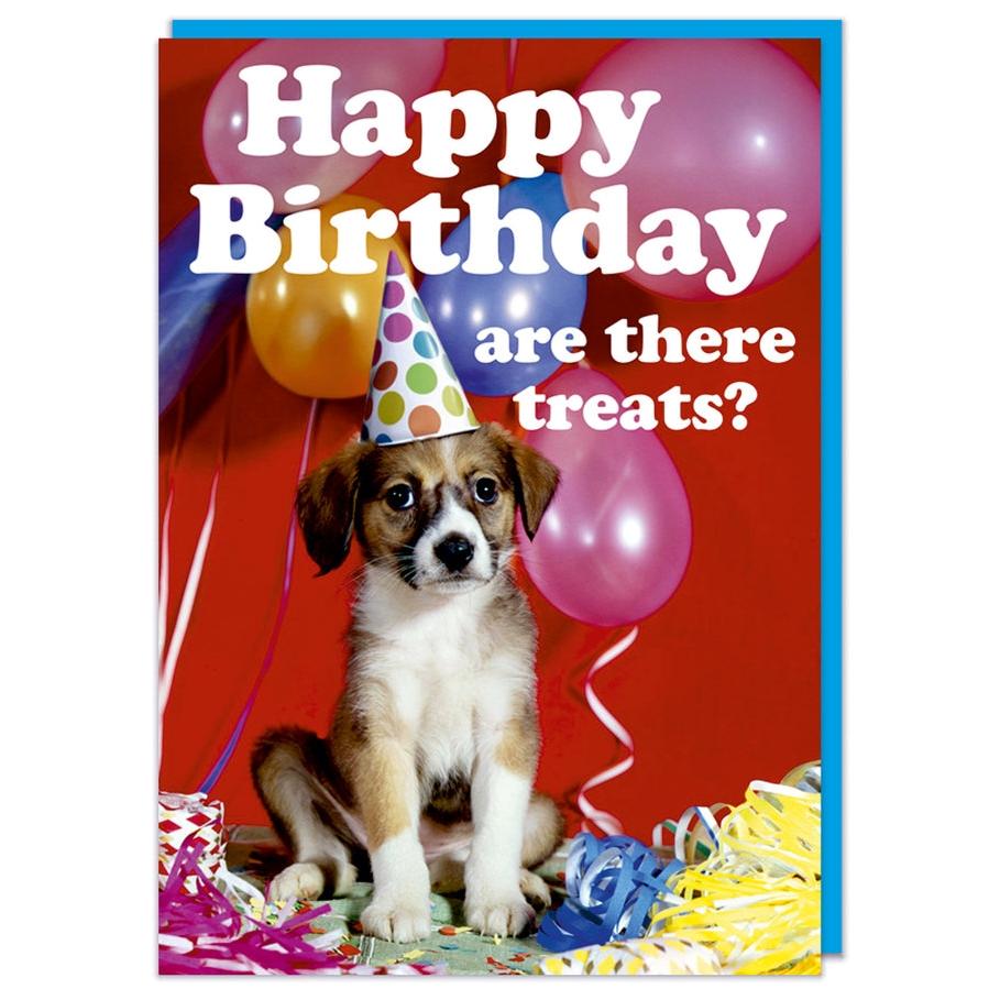 Are There Treats Birthday Card