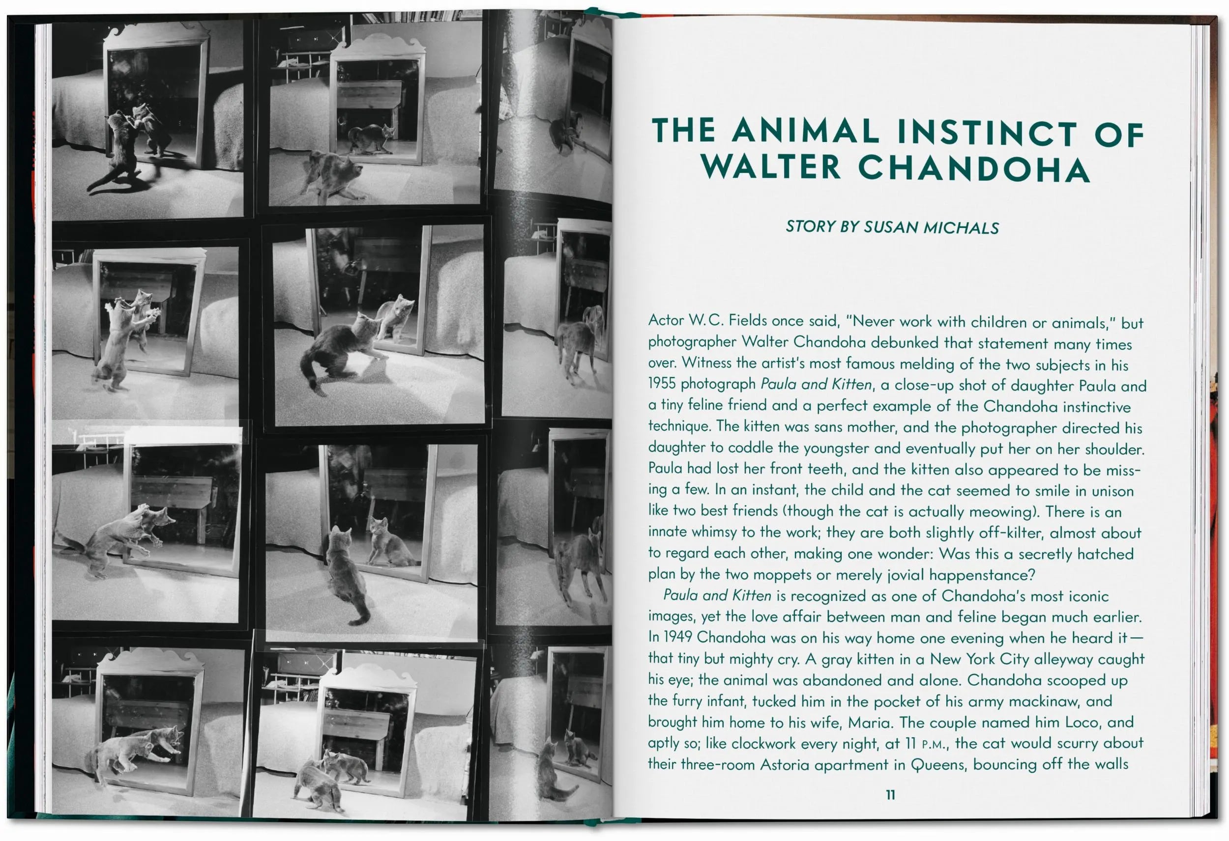 ICONS: Walter Chandoha - Cats: Photographs 1942-2018 - Just Fabulous Palm Springs