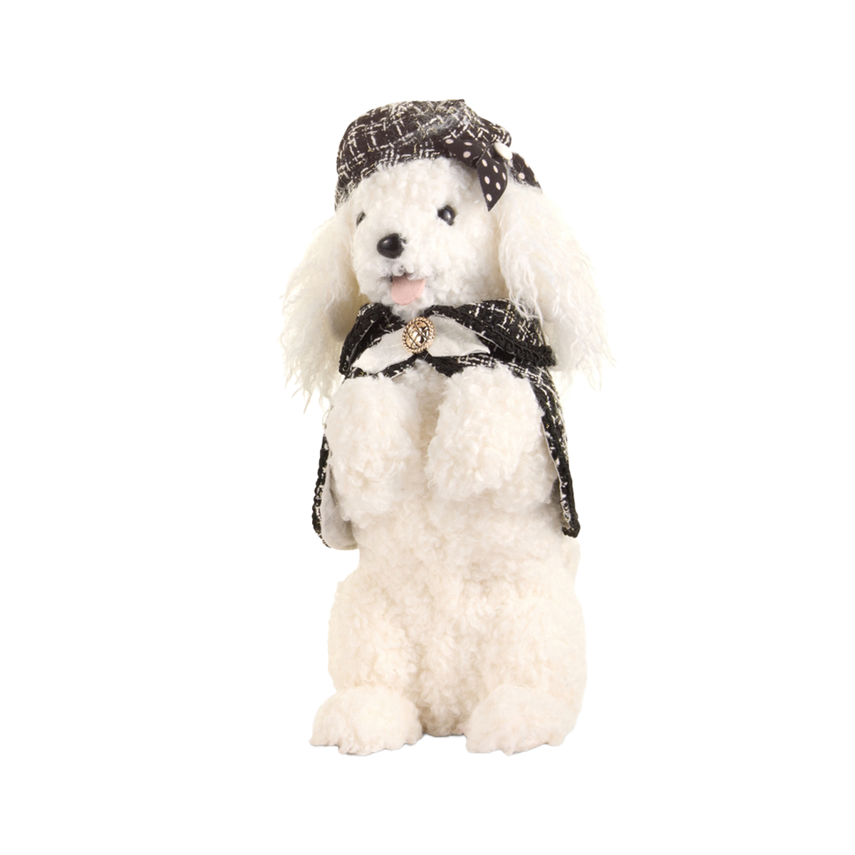 Mini Poodle - Begging On Hind Legs