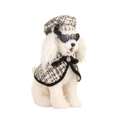 Mini Poodle - Sitting