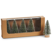 Box Of 5 Snowy Bottle Brush Trees