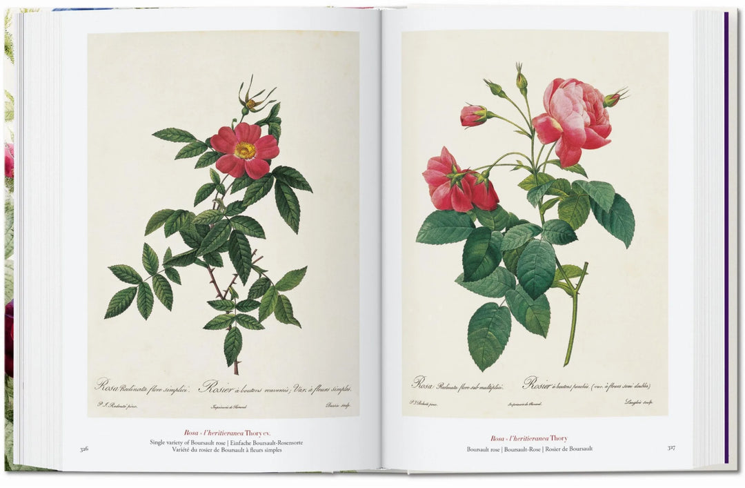 45th Anniversary: Redouté - The Book of Flowers