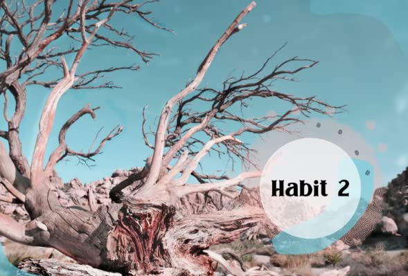 12 Months To Happier Habits