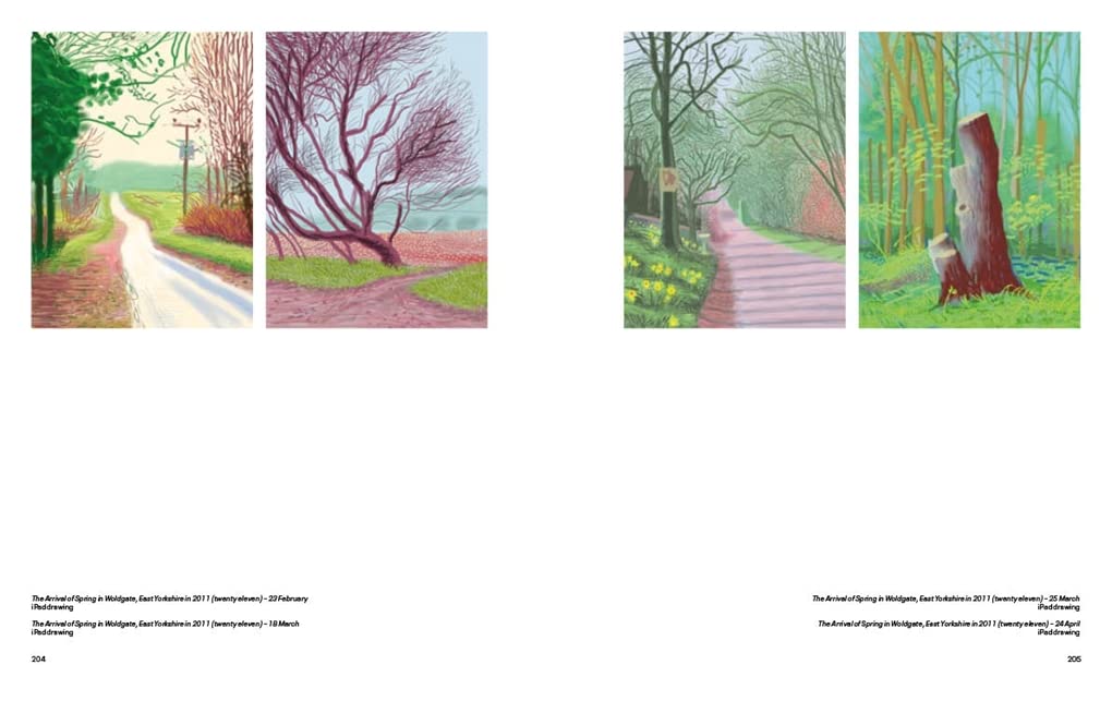 David Hockney Moving Focus