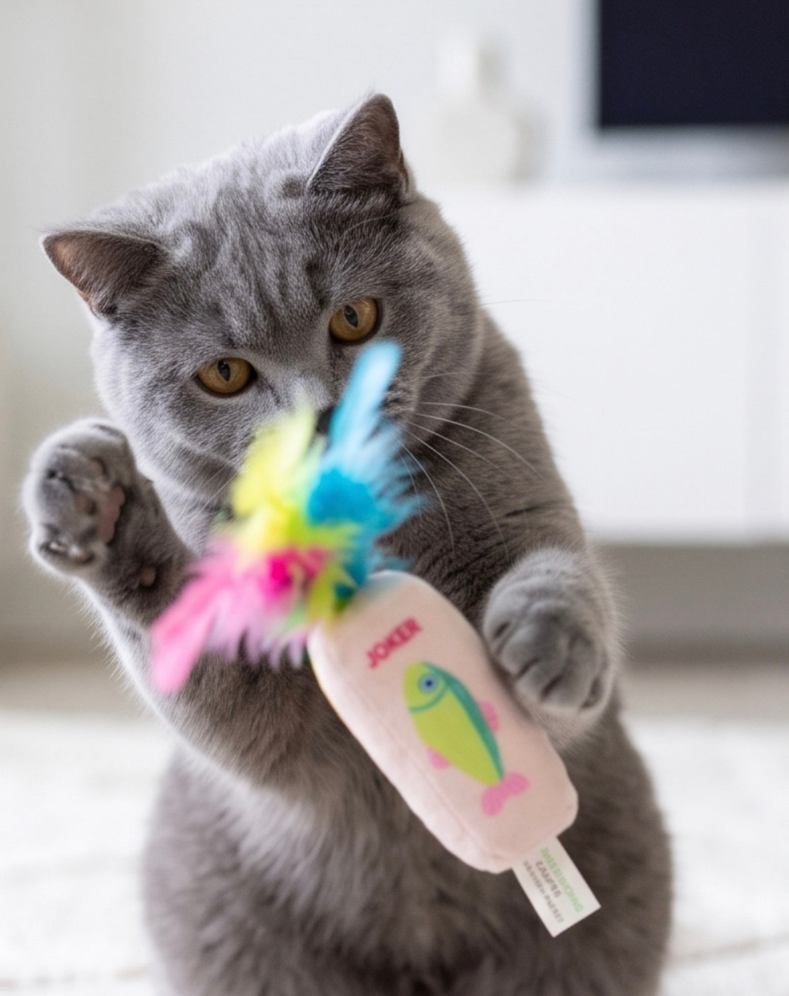 Meowjong Tiles Catnip Toys With Feathers