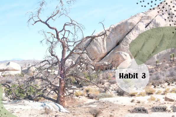 12 Months To Happier Habits