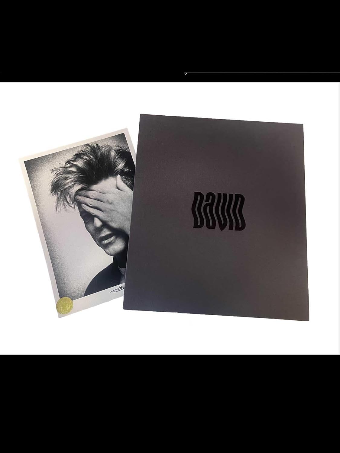 David Bowie By Denis O'Regan - Special Edition