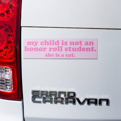 Honor Roll Cat Car Magnet - Pink