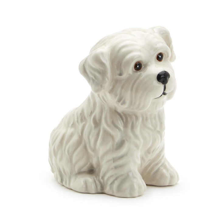 Pick Me Dog Pick Holder With 20 Picks