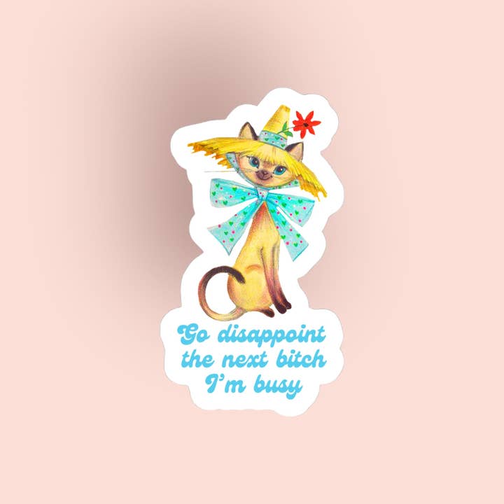 Go Disappoint The Next Bitch Sticker