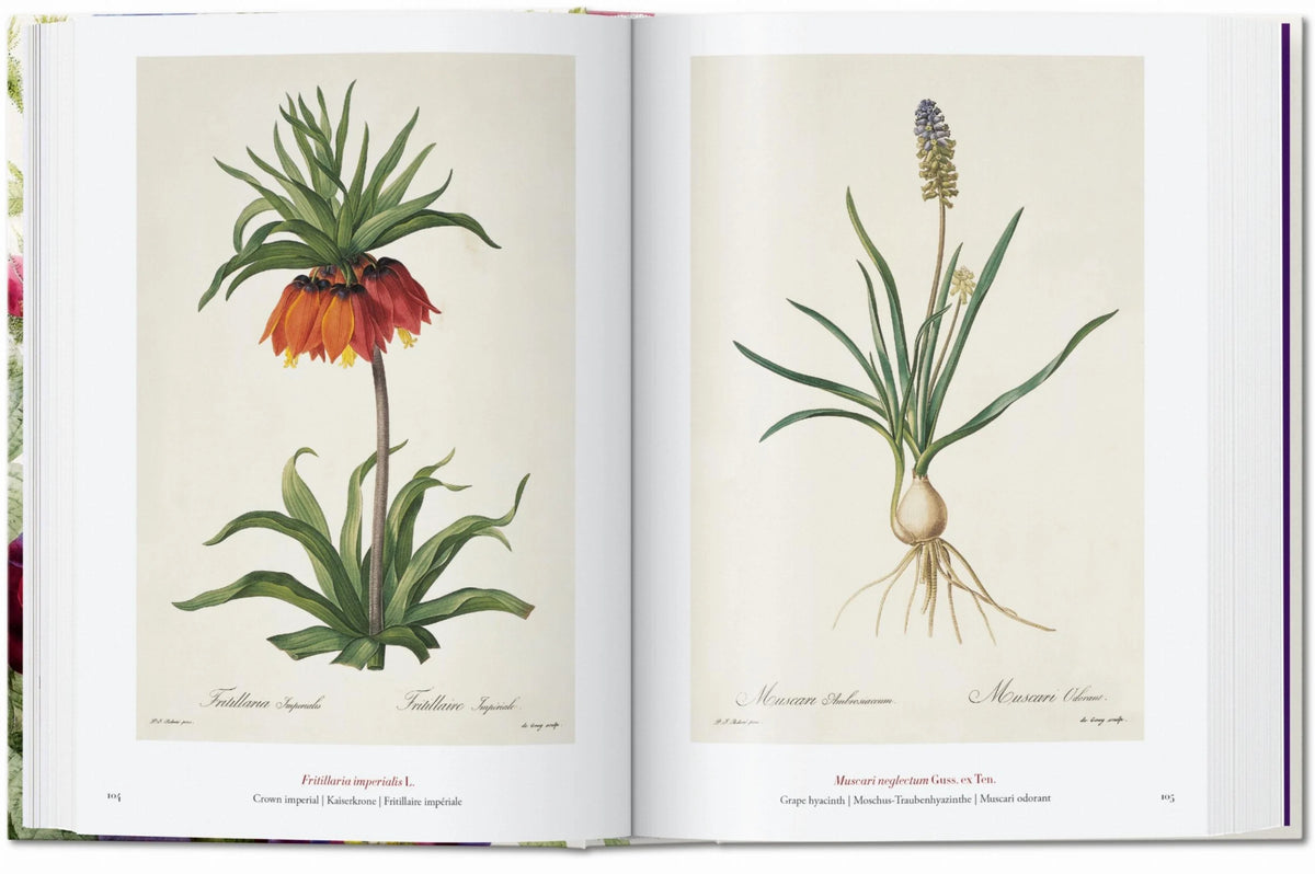 45th Anniversary: Redouté - The Book of Flowers - Just Fabulous Palm Springs