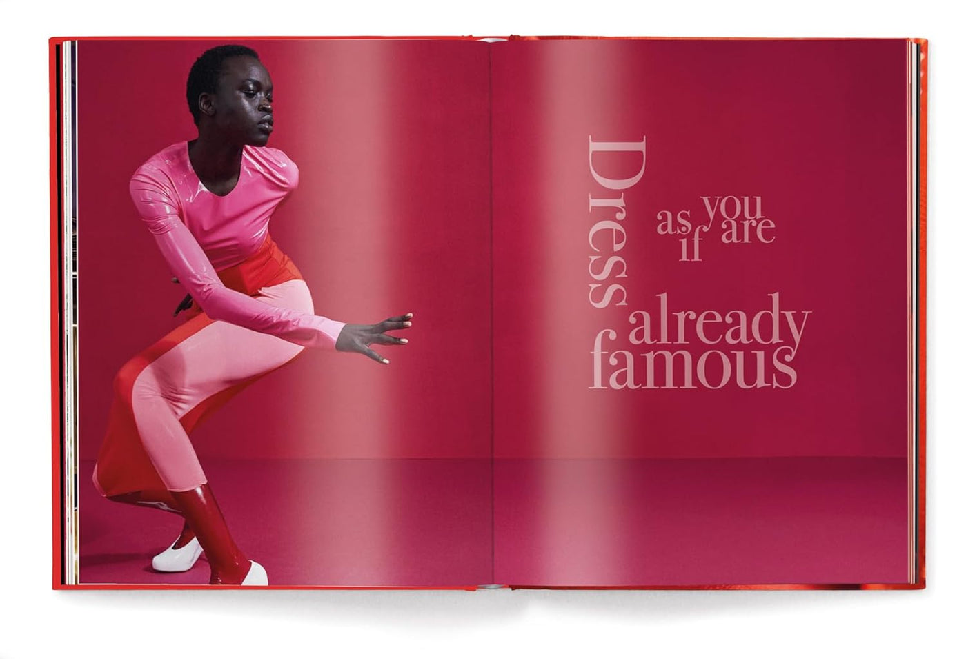 The Red Book: Fashion, Styles & Stories