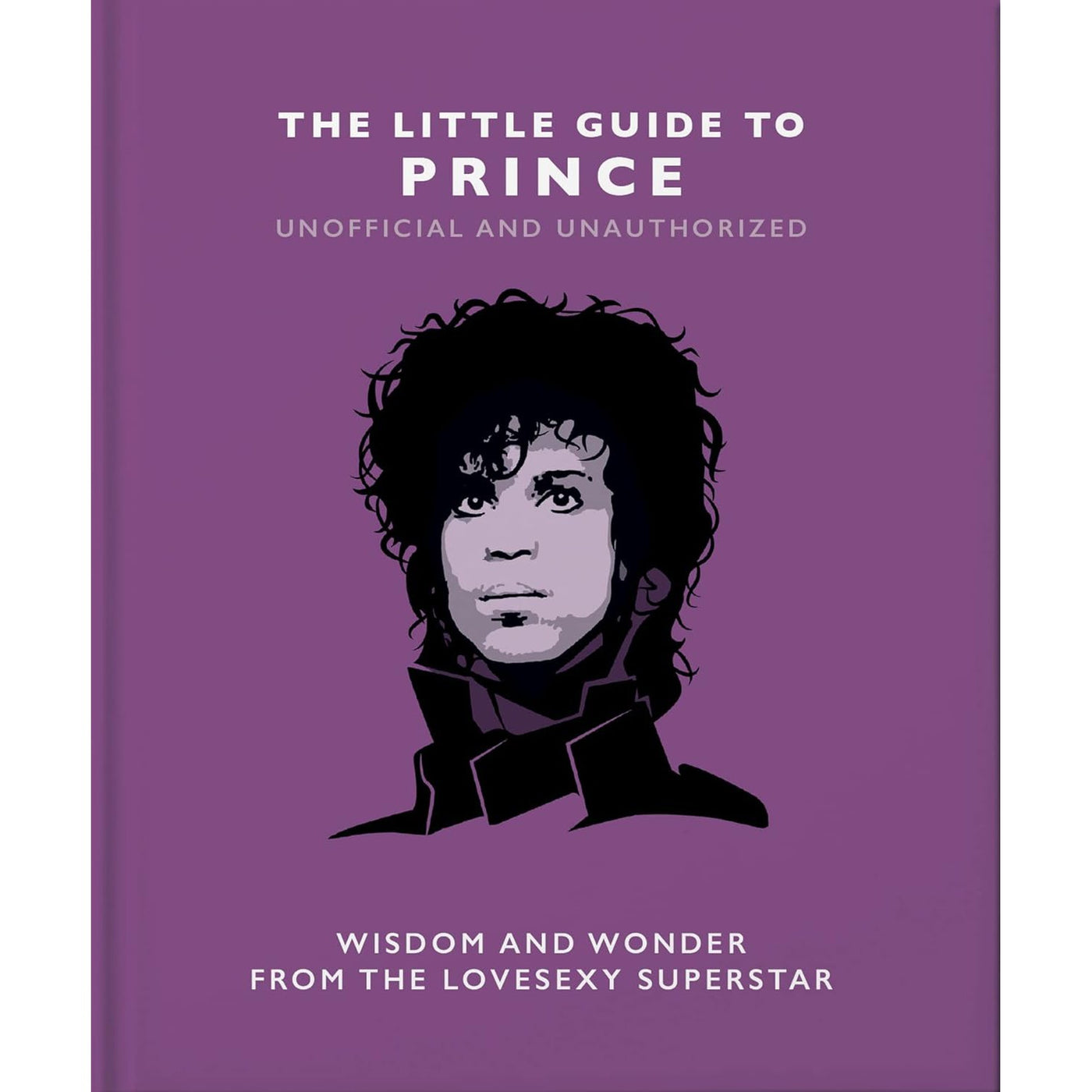 The Little Guide To Prince