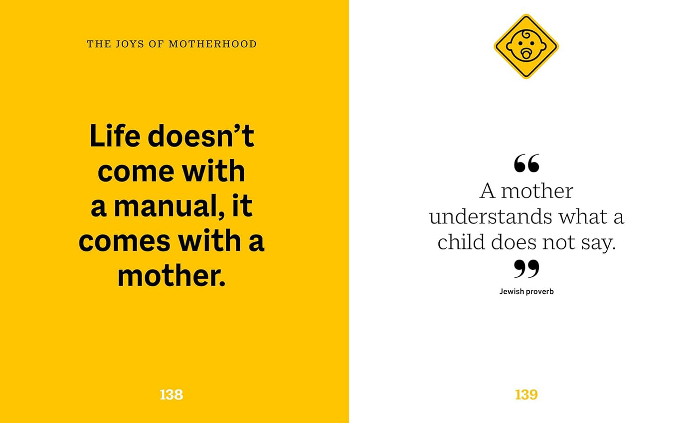 The Little Book Of Surviving Motherhood