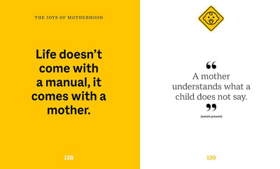 The Little Book Of Surviving Motherhood