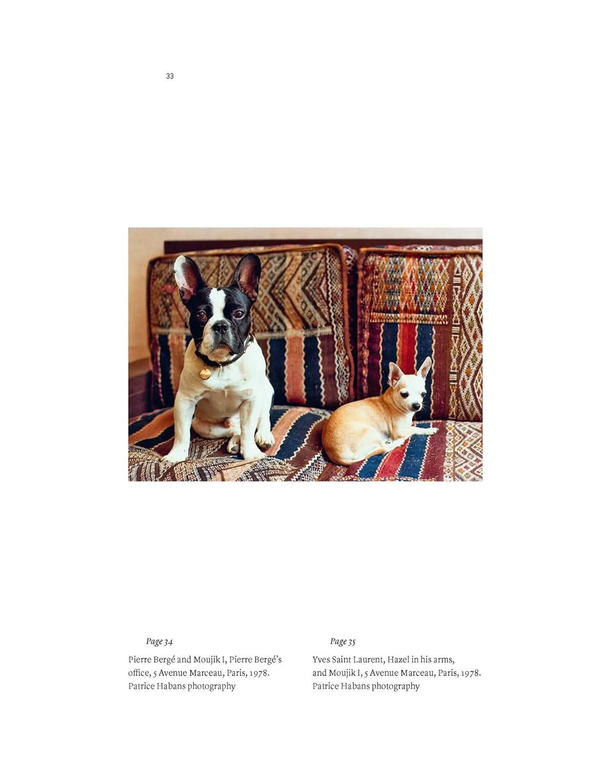 Yves Saint Laurent And His Dogs: Amigos Forever - Just Fabulous Palm Springs