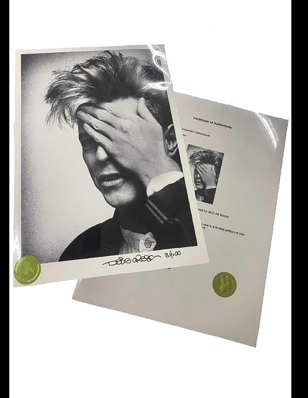 David Bowie By Denis O'Regan - Special Edition