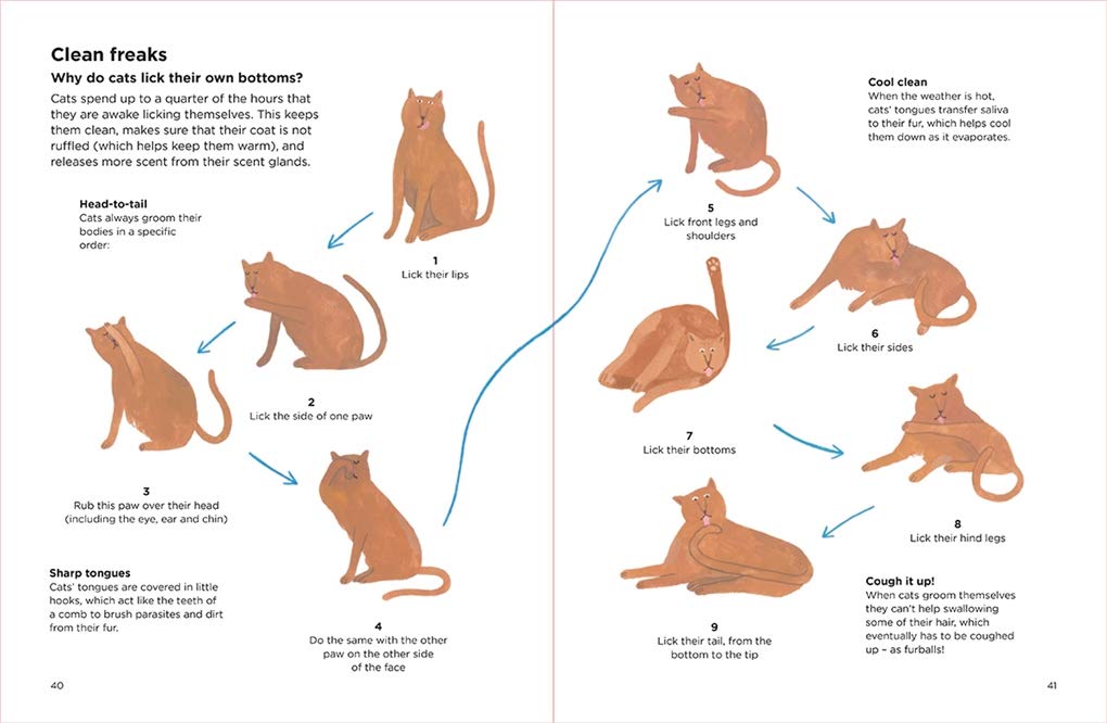 Why Do Cats Meow? - Just Fabulous Palm Springs