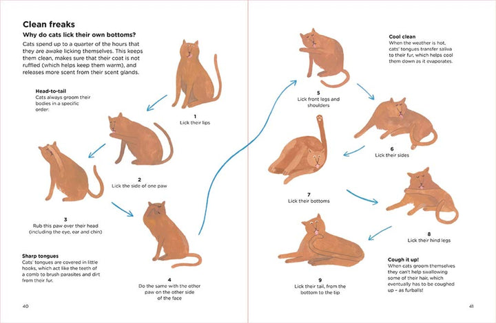 Why Do Cats Meow? - Just Fabulous Palm Springs