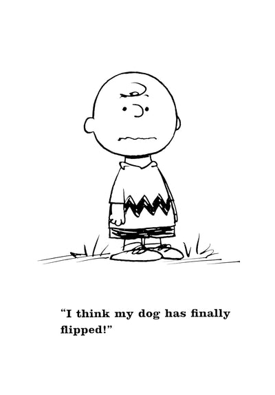 Peanuts: Snoopy And The Red Baron