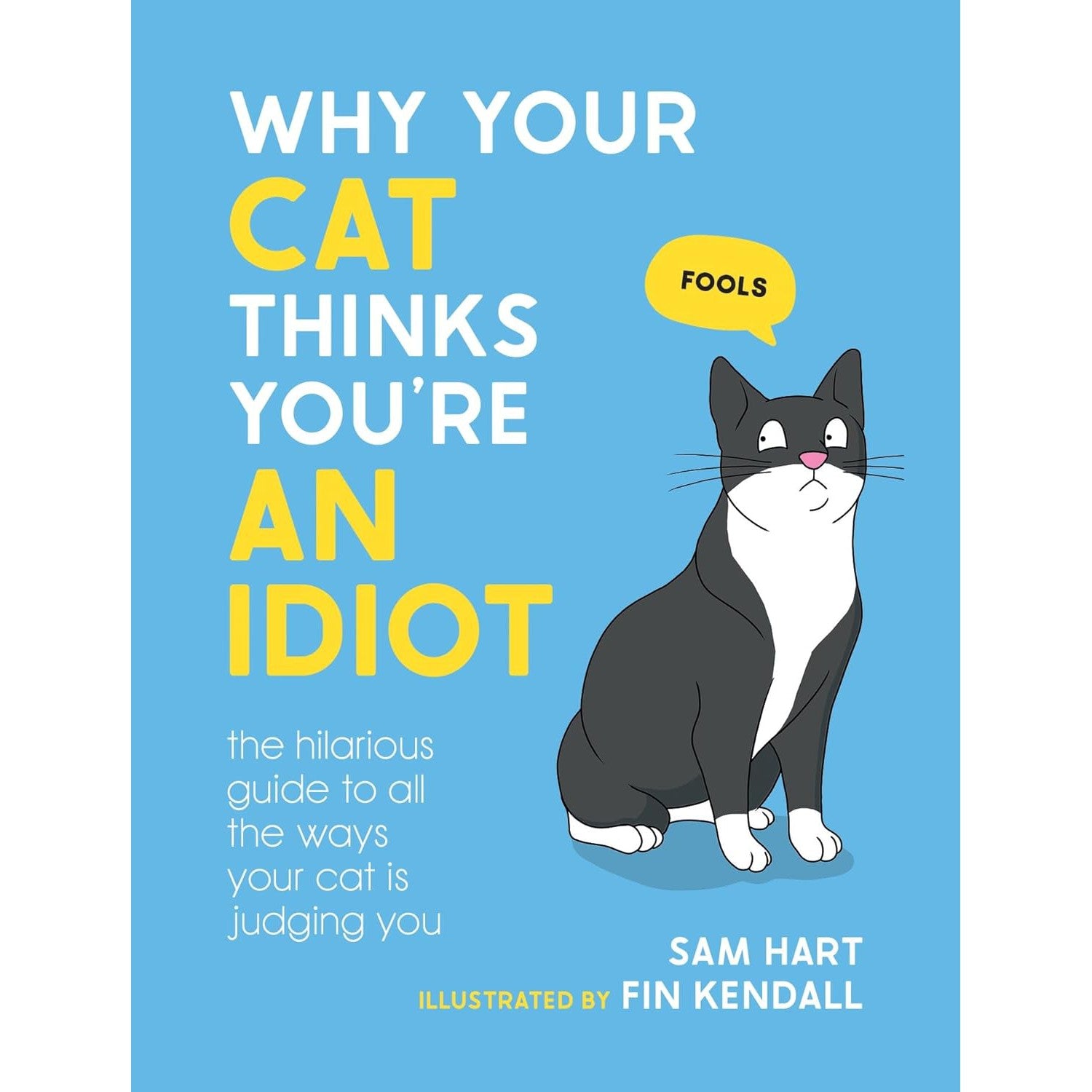 Why Your Cat Thinks You're An Idiot - Just Fabulous Palm Springs