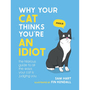 Why Your Cat Thinks You're An Idiot - Just Fabulous Palm Springs
