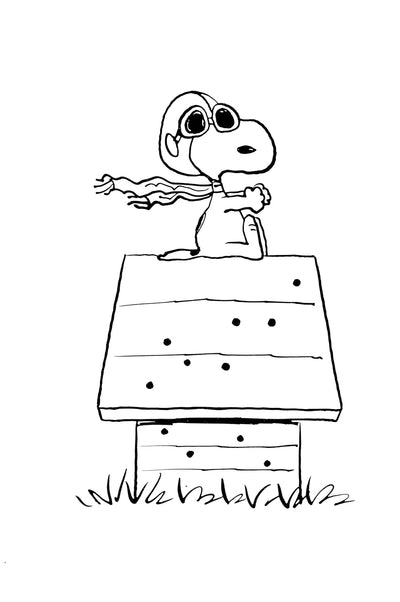 Peanuts: Snoopy And The Red Baron