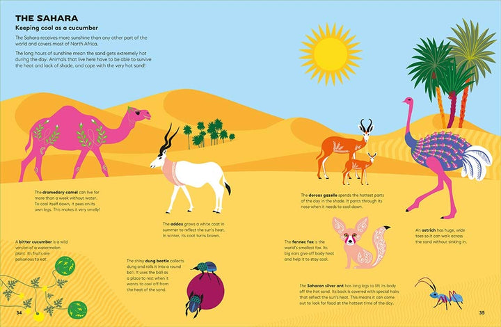 Hoot And Howl Across The Desert - Just Fabulous Palm Springs